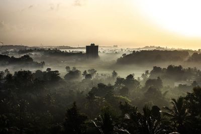 Landscape at sunset in india