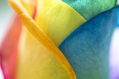 Full frame shot of multi colored pencils