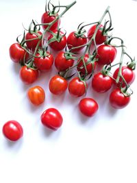 Close-up of tomatoes against white background