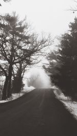 Road amidst trees against clear sky