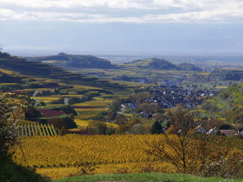 Scenic view of agricultural field against sky