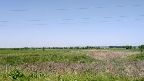 Scenic view of field against clear sky