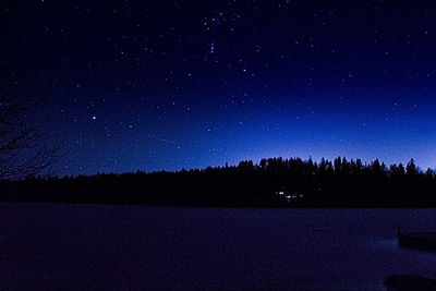 Scenic view of silhouette trees against sky at night