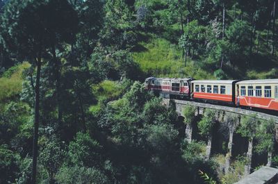 Train against trees