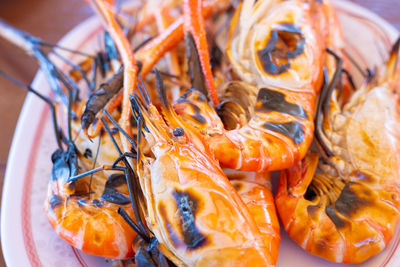 High angle view of fish in plate