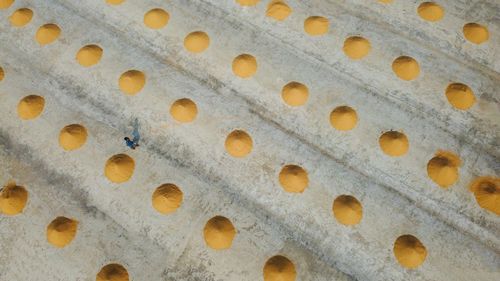 Rice drying 