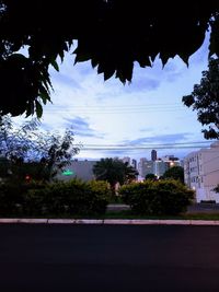 Road by trees and buildings against sky seen through window