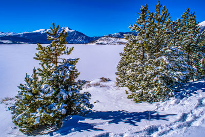 Scenic view of snowcapped mountains against clear blue sky