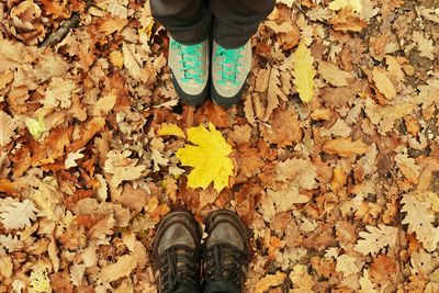 Low section of person standing on dry leaves