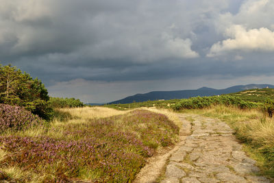 Scenic view of land against sky