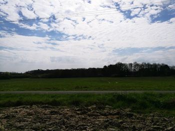 Scenic view of field against sky