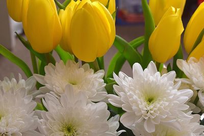 Close-up of yellow flowers