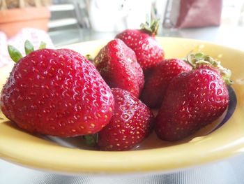 Close-up of strawberries in plate