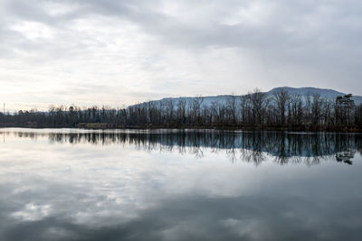 Scenic view of lake by trees against sky