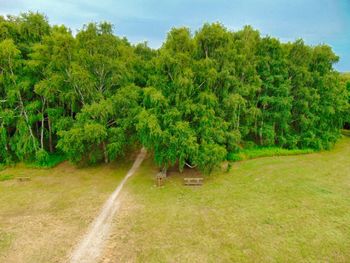 Scenic view of trees on field against sky
