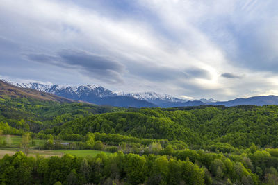 Scenic view of landscape against sky