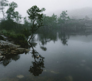 Reflection of trees in lake against sky