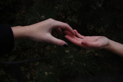 Close-up of hand touching each other