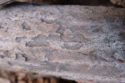 Close-up of rock