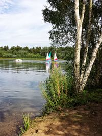 Rear view of woman standing by lake