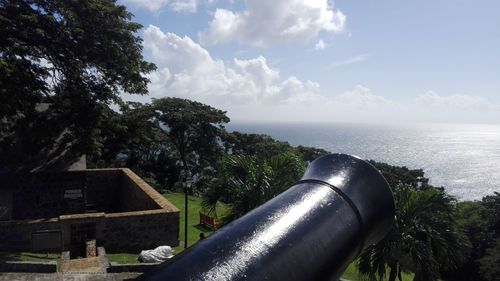 Scenic view of trees against sky