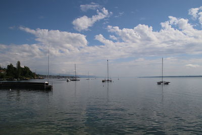 Sailboats in sea against sky