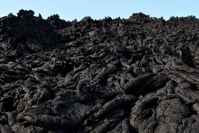 soil