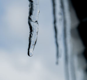 Close-up of icicles