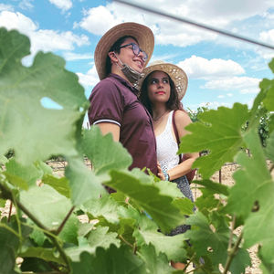agriculture