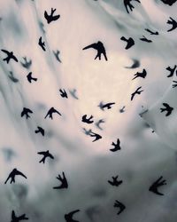 Low angle view of silhouette birds flying against sky