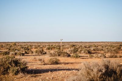 Scenic view of landscape against clear sky