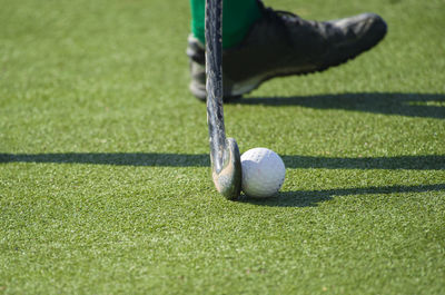 Low section of a ball on floor