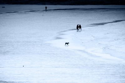 Reflection of people in water