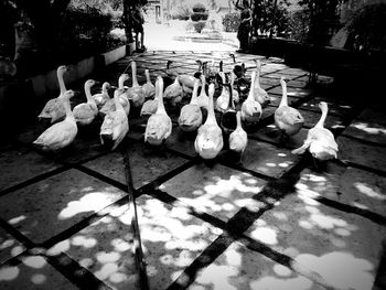 Full frame shot of chess board