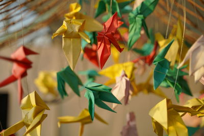 Close-up of multi colored paper flowers