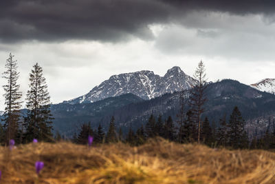 Scenic view of mountains against sky. giewont, zakopane, poland