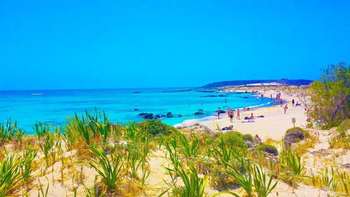 Scenic view of beach