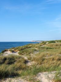 Scenic view of sea against clear blue sky