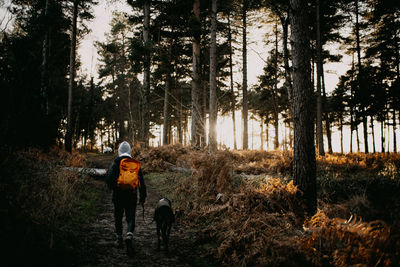 Rear view of woman walking in forest