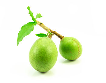 Close-up of apple against white background