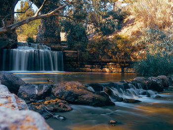 Scenic view of waterfall in forest during autumn