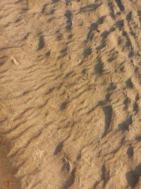 Full frame shot of sand dune