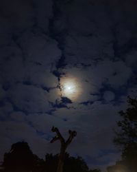 Low angle view of silhouette trees against sky at night