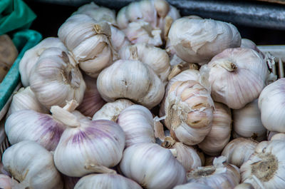 Close-up of garlic