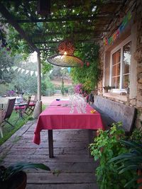 Empty bench in garden