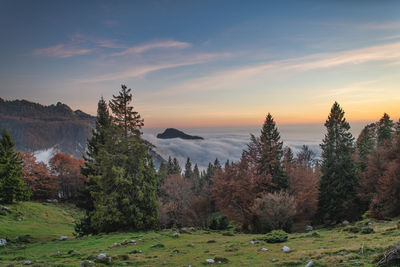 Scenic view of landscape against sky during sunset