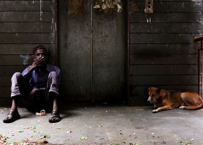 Dog sitting on footpath