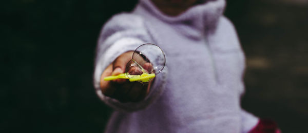 Close-up of insect on purple flower