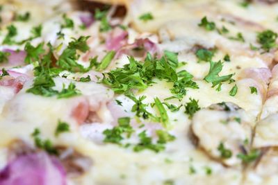 Close-up of food served in plate