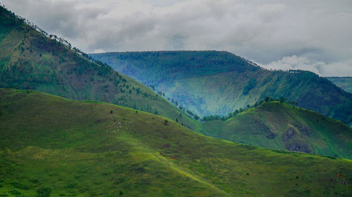 Scenic view of landscape against sky